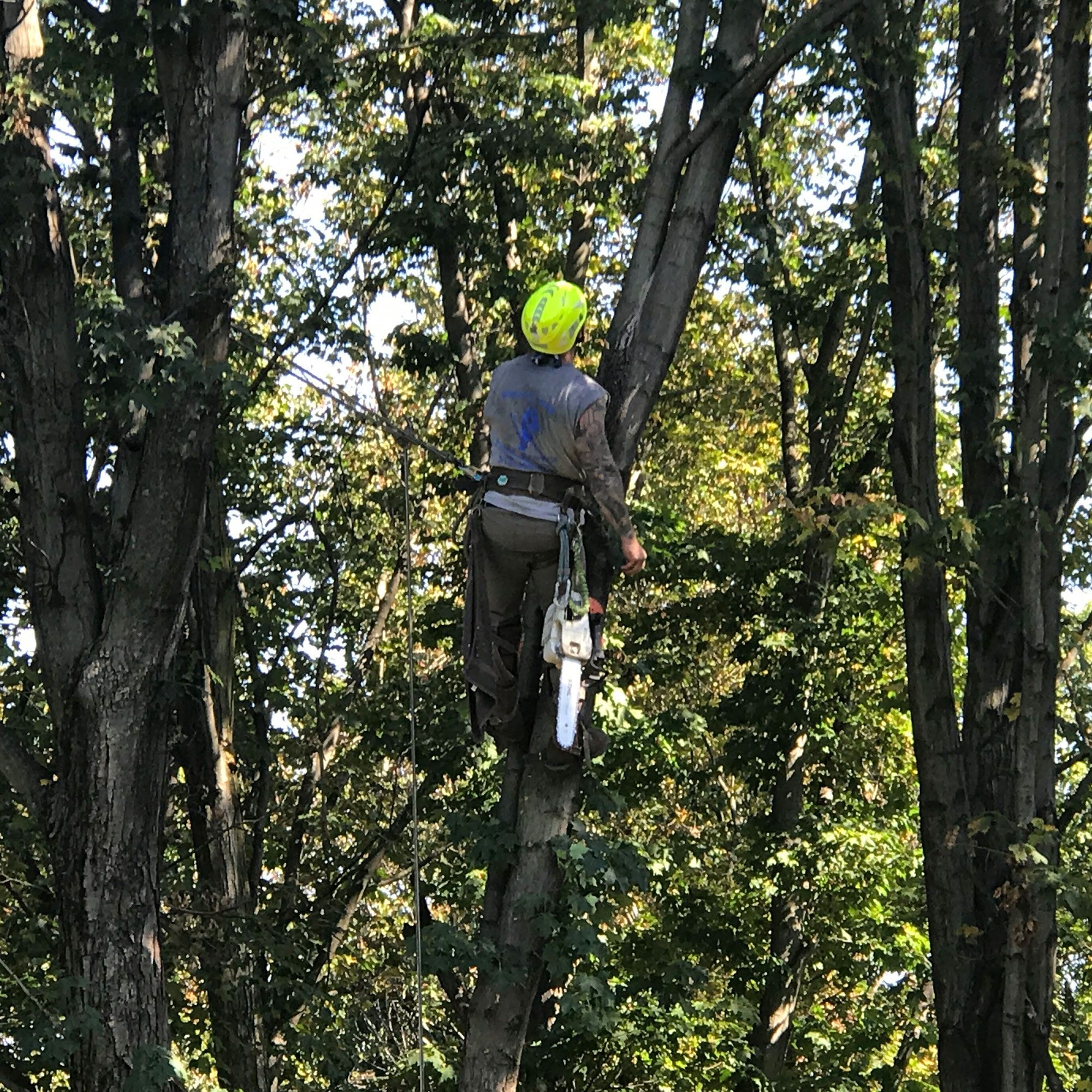 Climbing